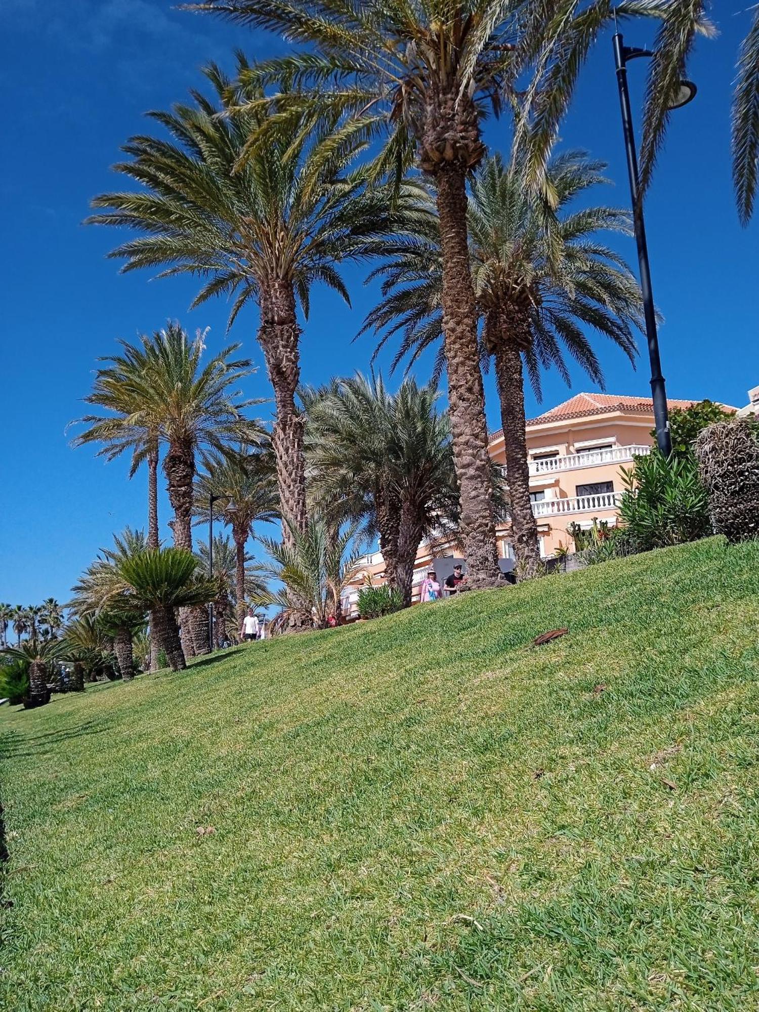 Apartamento Familiar Con Piscina Con Wi Fi En Los Cristianos Los Cristianos  Eksteriør billede